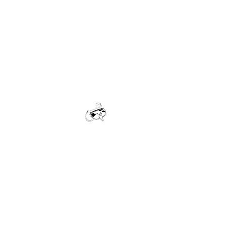 Cóctel tour Medellín 2026 - Travelers Medellín